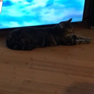 Meet your Posher, Vinny